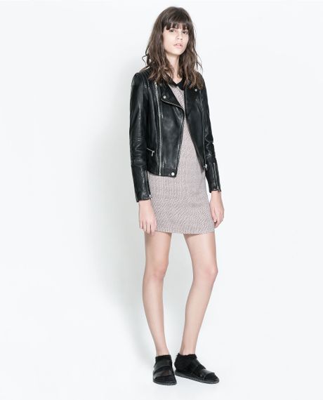 citizen of humanity charlotte high rise straight jeans