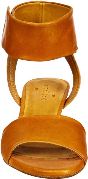 coclico wedges