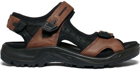 Ecco Yucatan Sandals in Brown for Men (BisonBlack) | Lyst