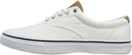 sperry cvo salt washed twill sneaker