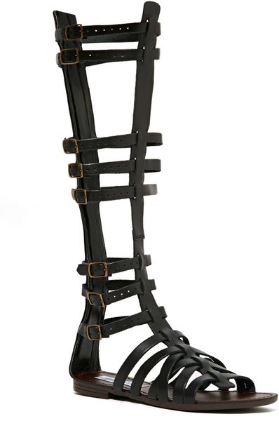 Nasty Gal Steve Madden Sparta Gladiator Sandal in Black | Lyst Nasty Gal Steve Madden Sparta Gladiator Sandal in Black | Lyst