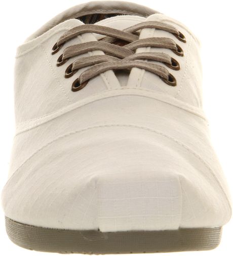 toms white cordones