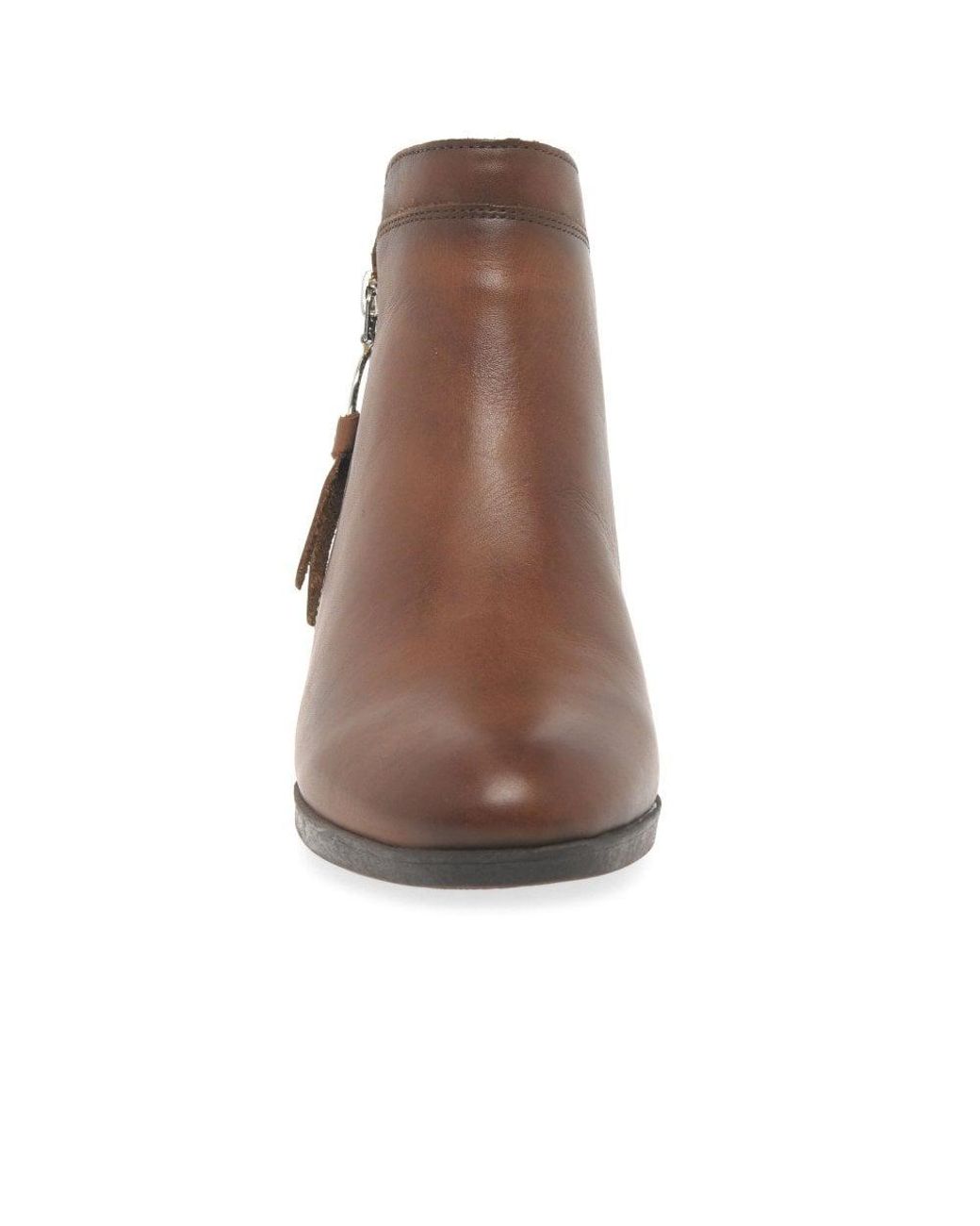 Boots Kennel Schmenger Und Und AfraChelsea Kennel AR4q3cL5j