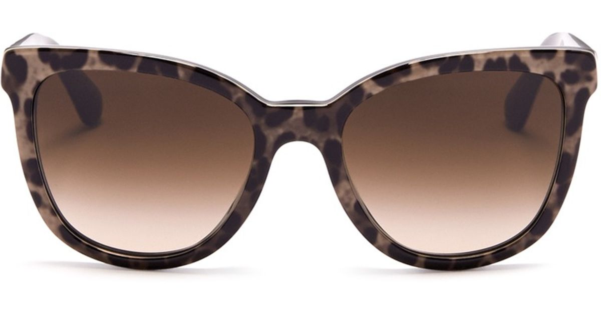 Dolce And Gabbana Leopard Print Cat Eye Sunglasses In Brown Lyst 4993