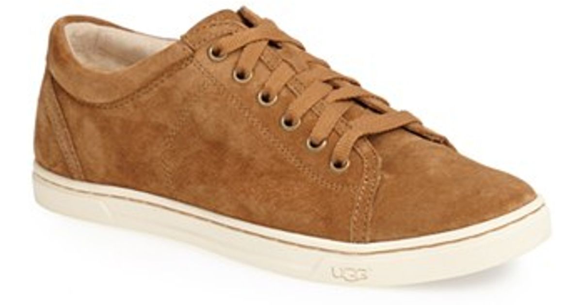 ugg suede sneakers ugg suede sneakers
