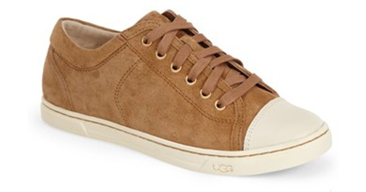 brown ugg sneakers brown ugg sneakers