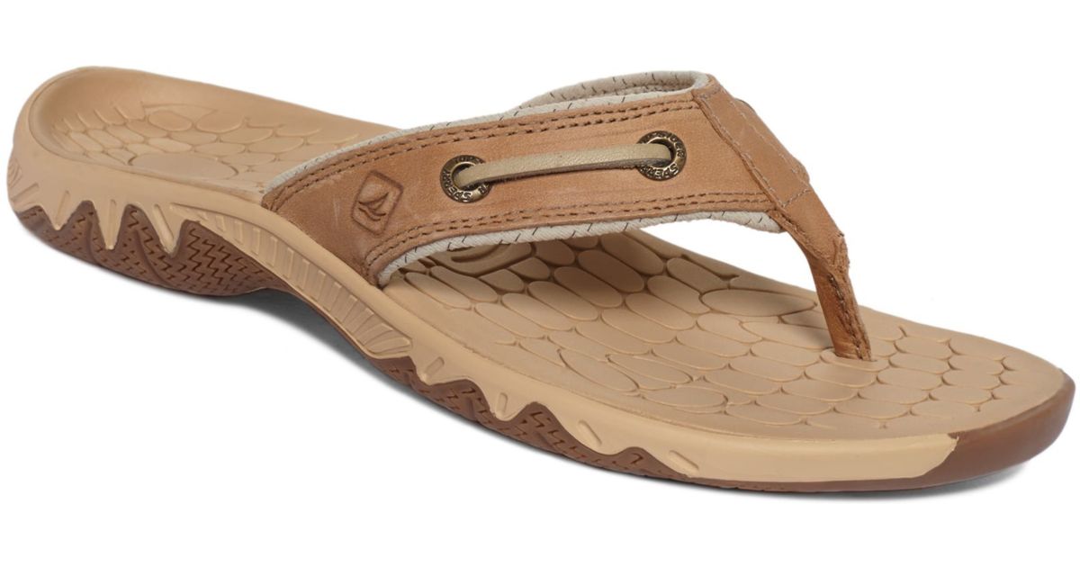 Women's Sperry, Seabrook Surf Thong Sandals | Peltz Shoes