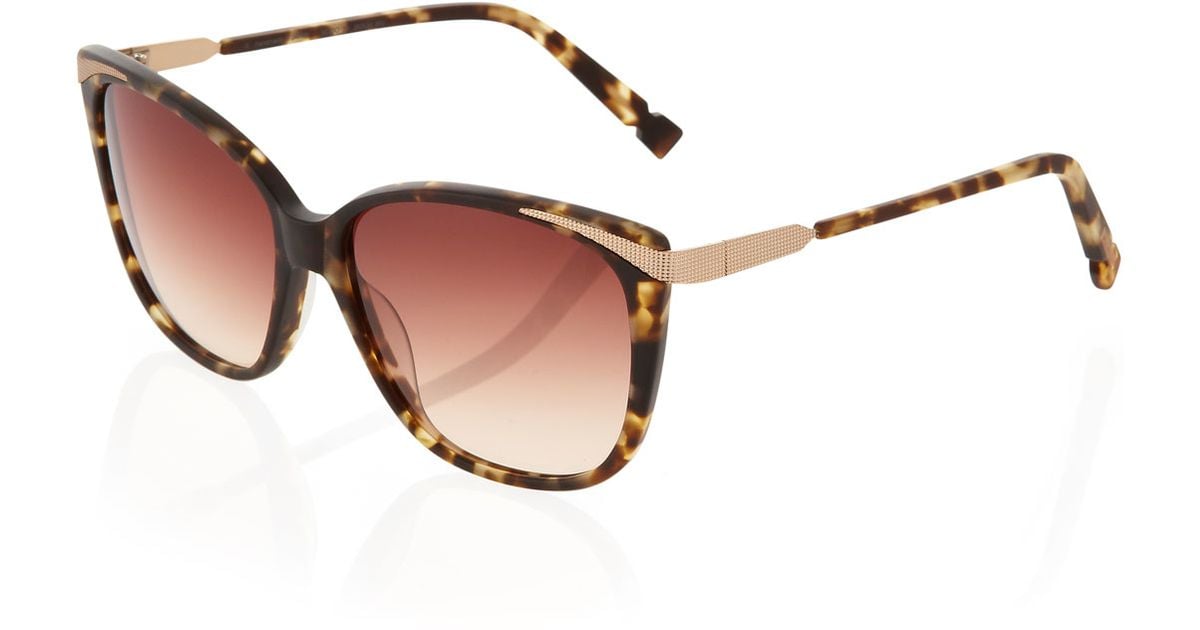 Jason wu Matte Square Sunglasses in Brown