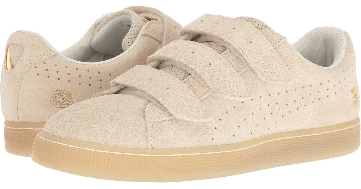puma careaux puma careaux