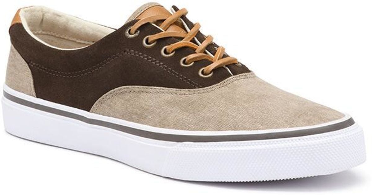 sneaker bass