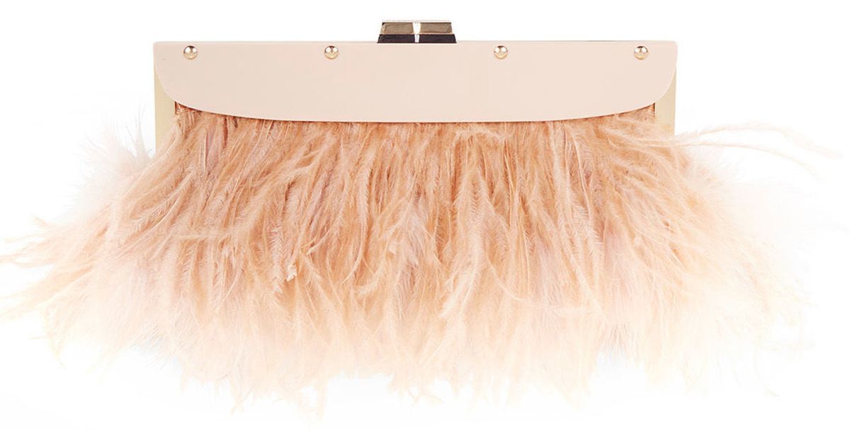 Lyst Bcbgmaxazria Portia Feather Trim Lucite Clutch In Pink