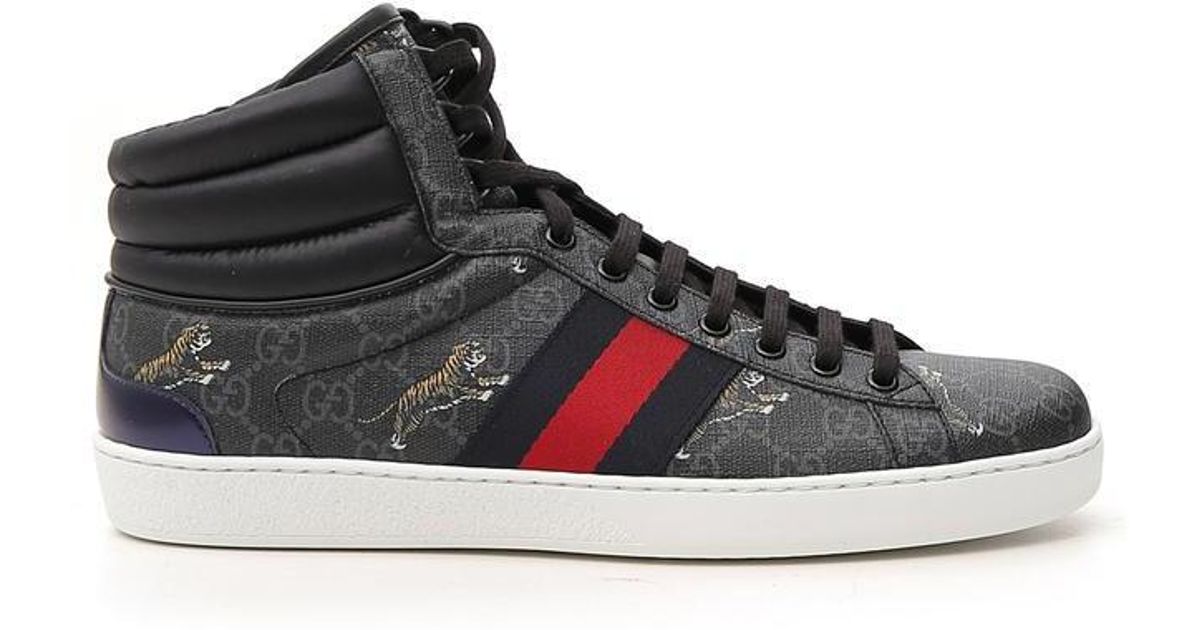 Gucci Hi-top Tiger Logo Sneakers in Brown for Men - Save 1% - Lyst