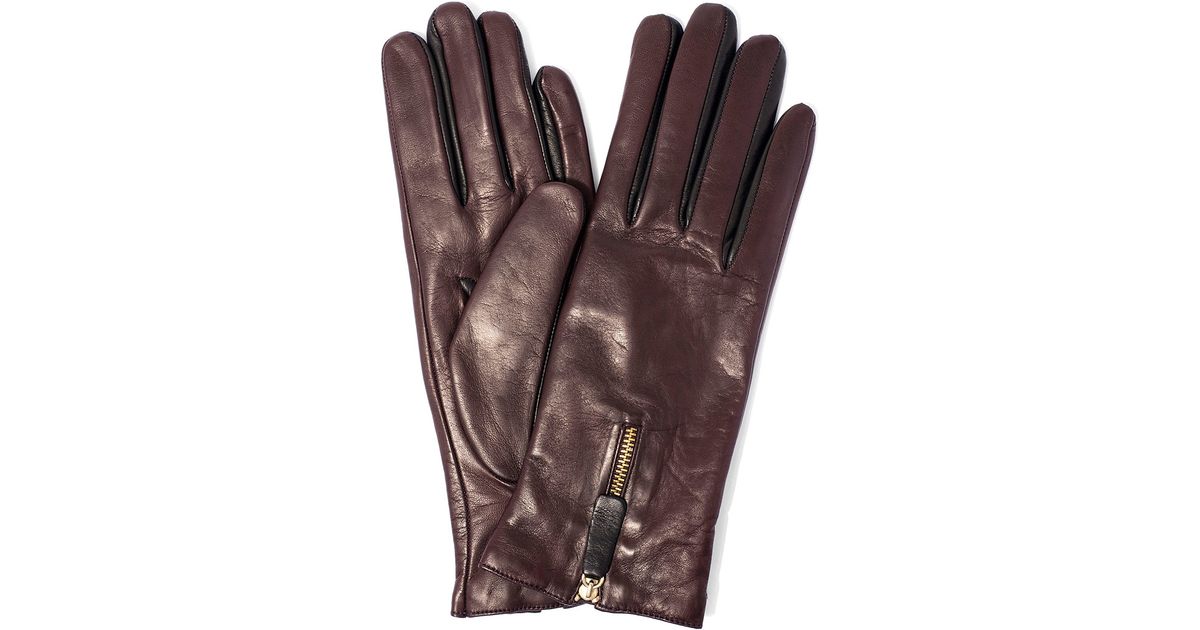 Lyst Portolano Burgundy Contrast Fourchettes Zip Leather Gloves in Purple