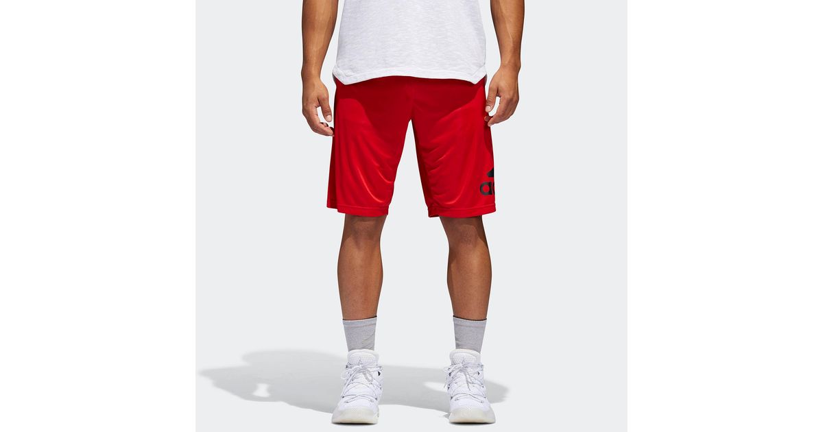 adidas crazylight shorts