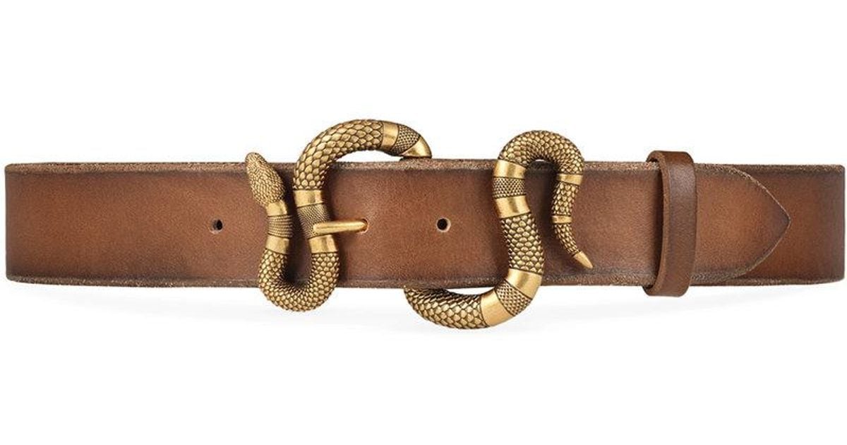 gucci snake belt brown