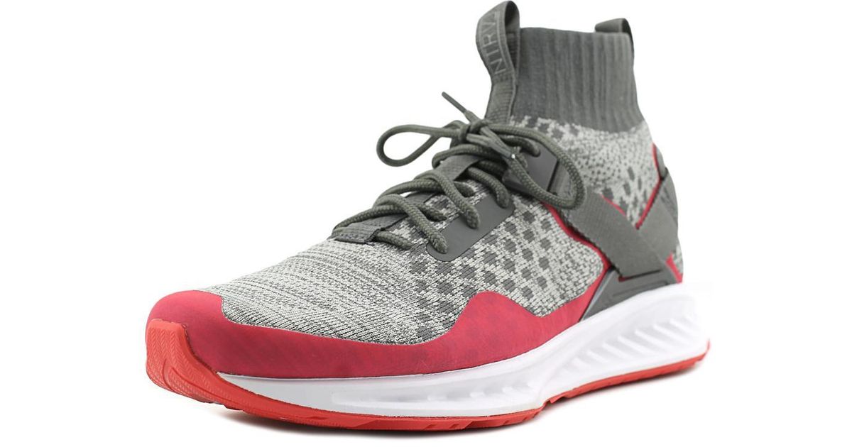 puma x staple ignite evoknit