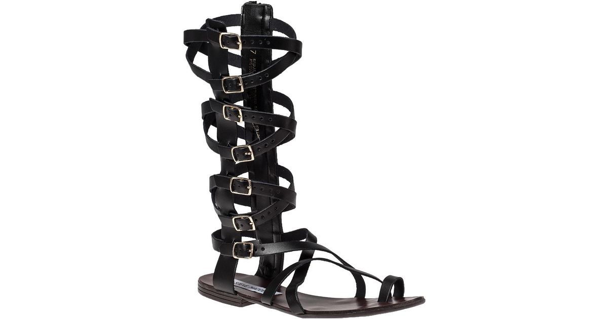 Lyst - Steve Madden Rivval Gladiator Sandal Black Leather in Black