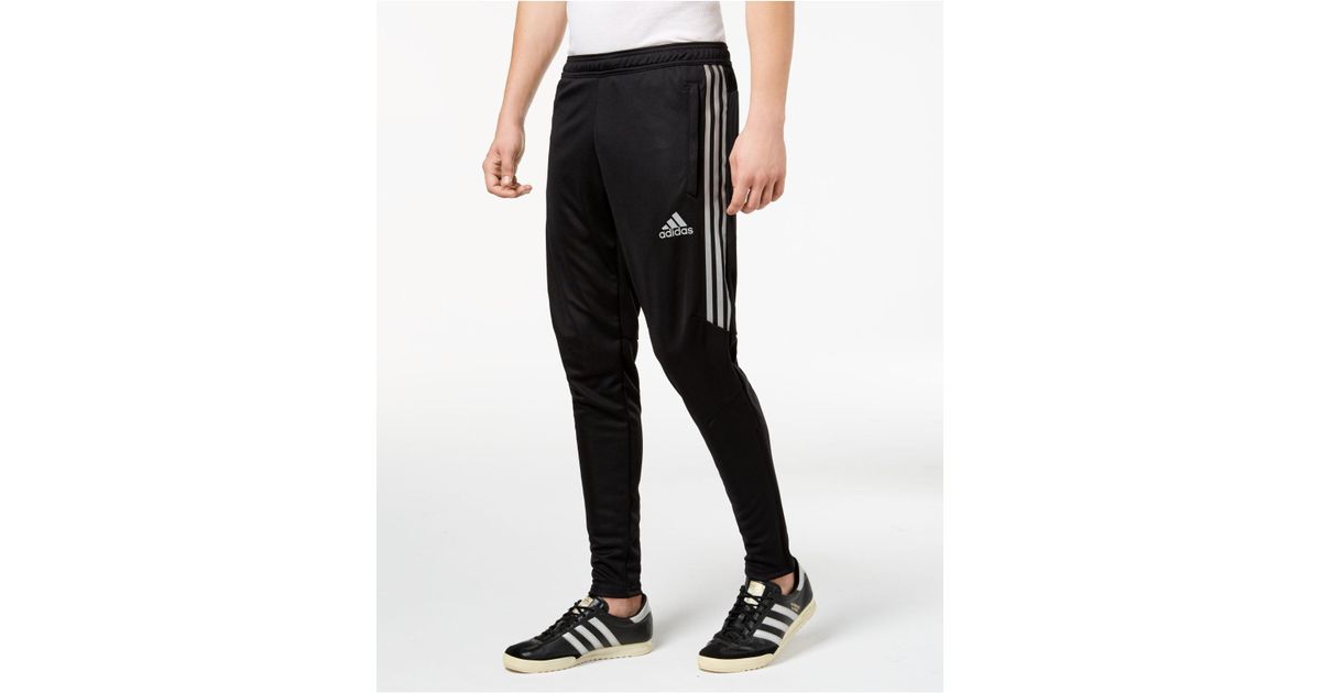 tiro soccer pants