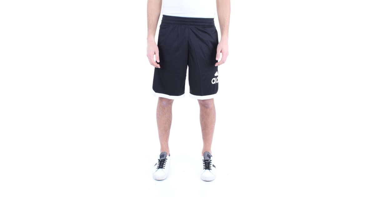 adidas polyester shorts