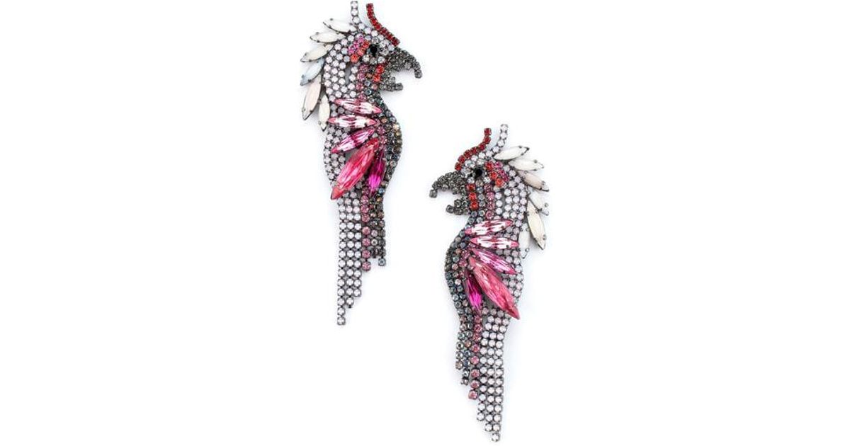Lyst Elizabeth Cole Crystal Parrot Earrings