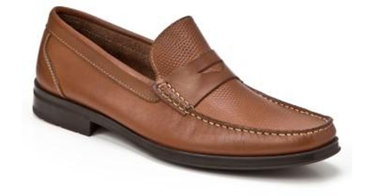 Sandro Moscoloni Emilio Penny Loafer in Brown for Men - Lyst