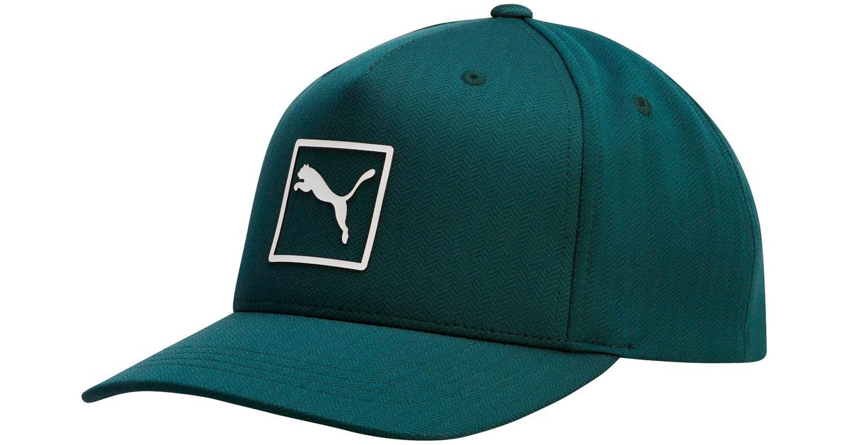 puma trionfo  green