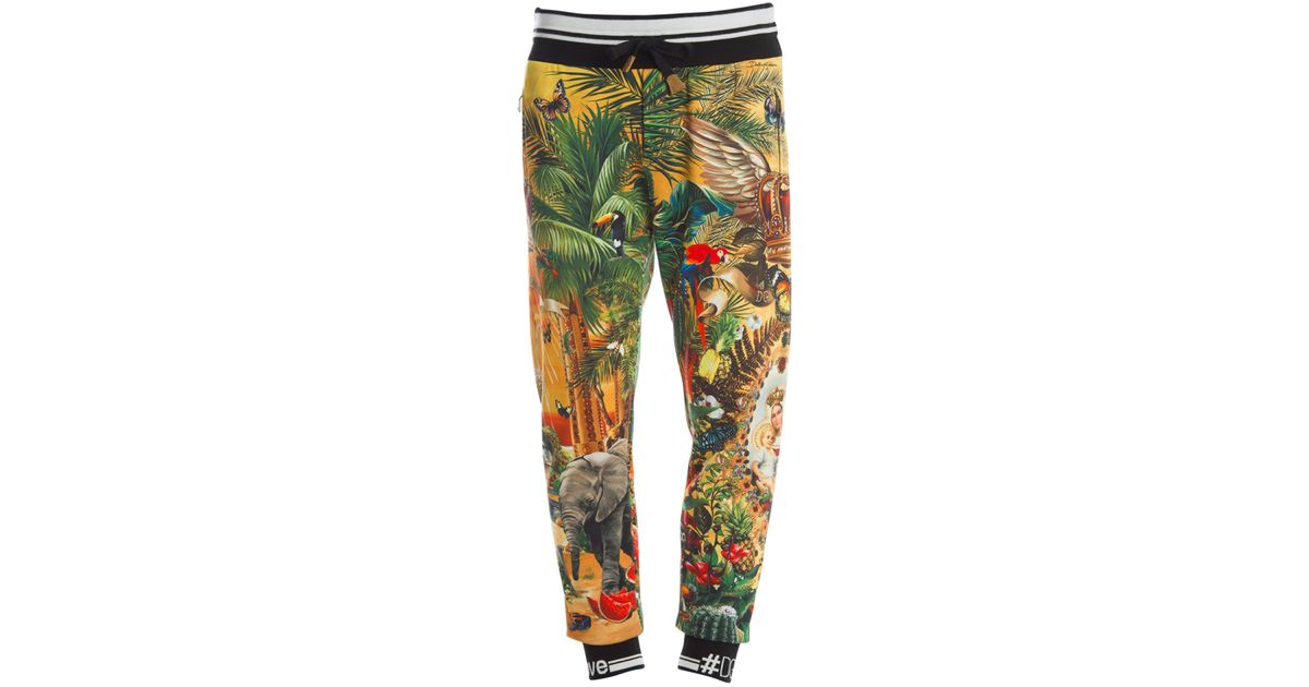 Dolce & Gabbana Cotton Garden Print Sweatpants for Men - Lyst