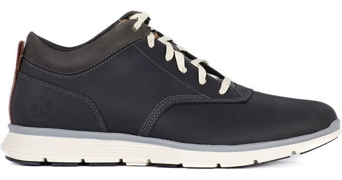 timberland hal timberland hal