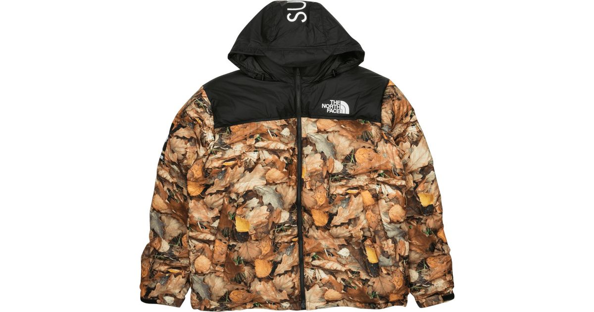 the north face ic nuptse jacket vaporous grey dot print