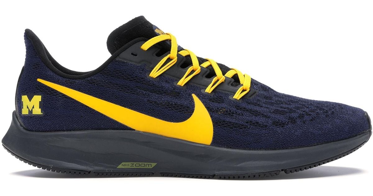 nike air zoom pegasus michigan state