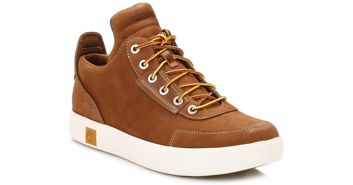 timberland amherst hightopcanvaschkdark timberland amherst hightopcanvaschkdark