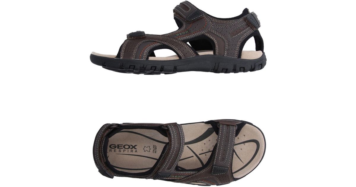 Lyst - Geox Sandals in Brown for Men