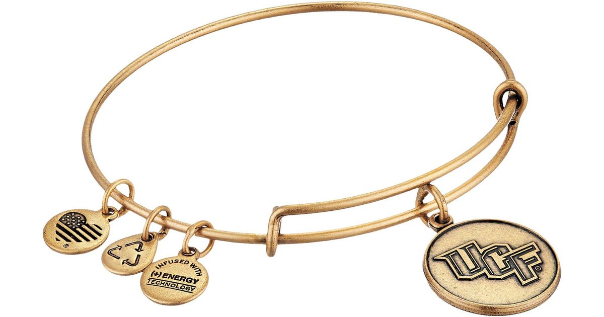 alex and ani epilepsy bracelet
