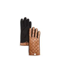 Pink Pony | Beige Lauren Quilted Tech Gloves | Lyst