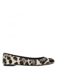 Giuseppe Zanotti | Multicolor Leopard Print Ponyskin Ballerina Flats | Lyst
