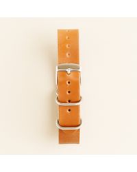 j crew shell cordovan
