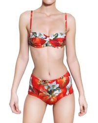 Dolce & Gabbana | Multicolor Tomato Printed Lycra Slip | Lyst