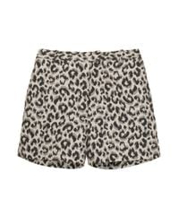 3.1 Phillip Lim | Multicolor Leopard Jaquard Ctn Shorts | Lyst