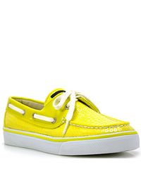 sperry yellow shoes