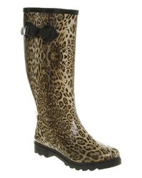 Office | Animal Nutty Knee Welly Leopard Rubber | Lyst