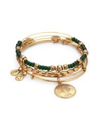 ALEX AND ANI | Green Ivy Bangle Set | Lyst