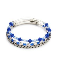 ALEX AND ANI | Blue Laurel Bangle Set | Lyst