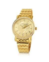 Just Cavalli - Metallic Moon - Champagne Zebra Dial Watch With Crystal Bezel - Lyst