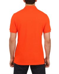 orange poloshirt