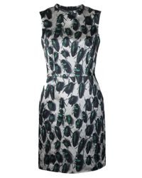 Lyst - Lanvin Beetle Print Dress in Gray