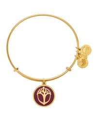 ALEX AND ANI | Gold Unexpected Miracles Color Infusion Expandable Wire Bangle | Lyst