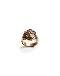 Lulu Frost - Metallic G. Frost Bravery Lion Ring for Men - Lyst