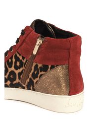Sam Edelman | Red 'britt' Leopard Calf Hair Leather Combo Sneakers | Lyst