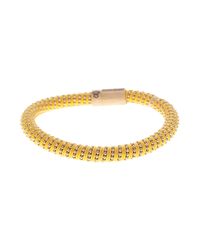 Carolina Bucci | Yellow Gold Twister Bracelet | Lyst