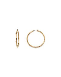 Diane von Furstenberg | Metallic Large Twig Gold Hoop Earring | Lyst